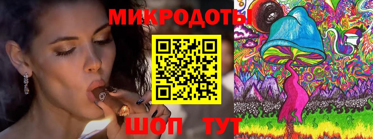 Железногорск  Псилоцибиновые грибы Psilocybine cubensis  Вход с VPN 