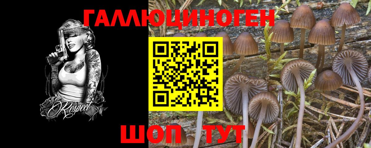 Галлюциногенные грибы MAGIC MUSHROOMS Железногорск